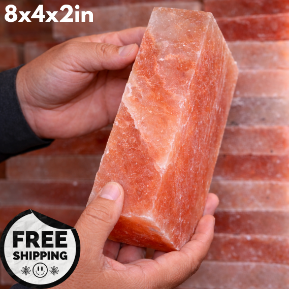 Himalayan Pink Salt Bricks 8x4x2 inches - Pack of 300
