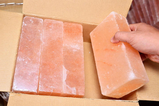 Himalayan Pink Salt Bricks 8x4x2 inches - Pack of 500