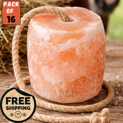 Himalayan Lick Salt Block 4–5 lbs | Natural Pink Salt for Horses & Livestock | Mineral