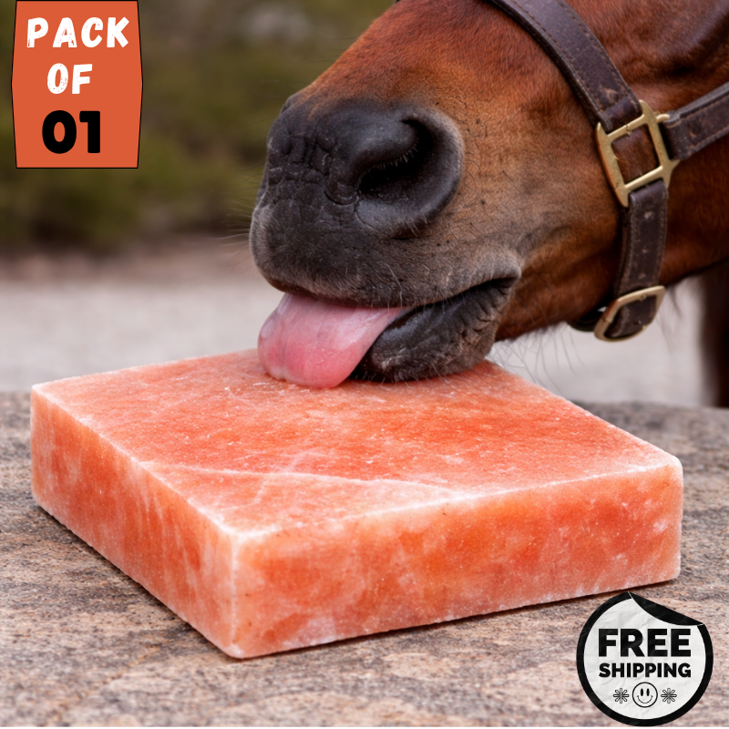 Himalayan Salt Lick Block for Horses 8”x8”x2” | Pink Lick Salt