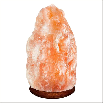 Himalayan Pink Salt Lamp Hand-Carved | Natural Rock Decor