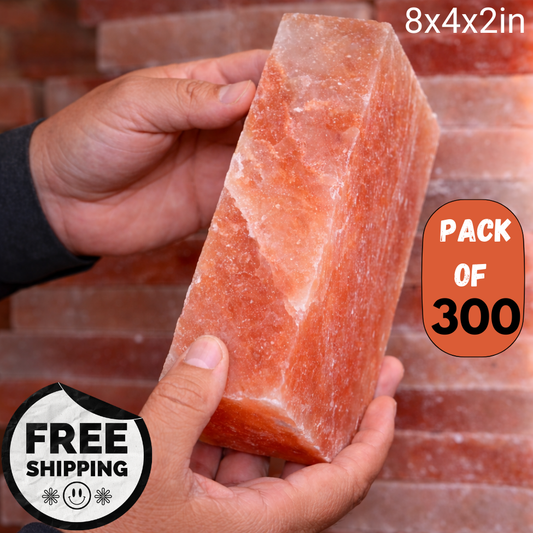 Himalayan Pink Salt Bricks 8x4x2 inches - Pack of 300