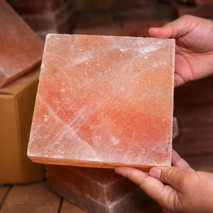 Person holding a large square piece of pink Himalayan salt