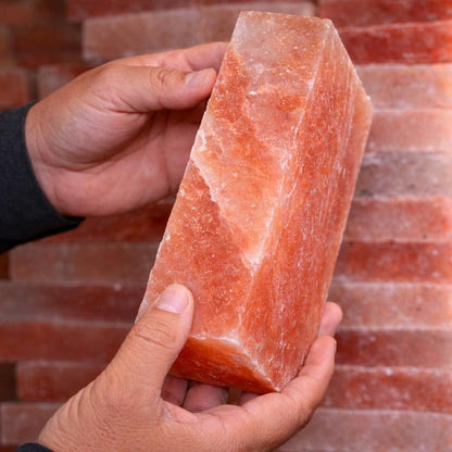 Himalayan Pink Salt Bricks 8x4x2 inches - Pack of 200